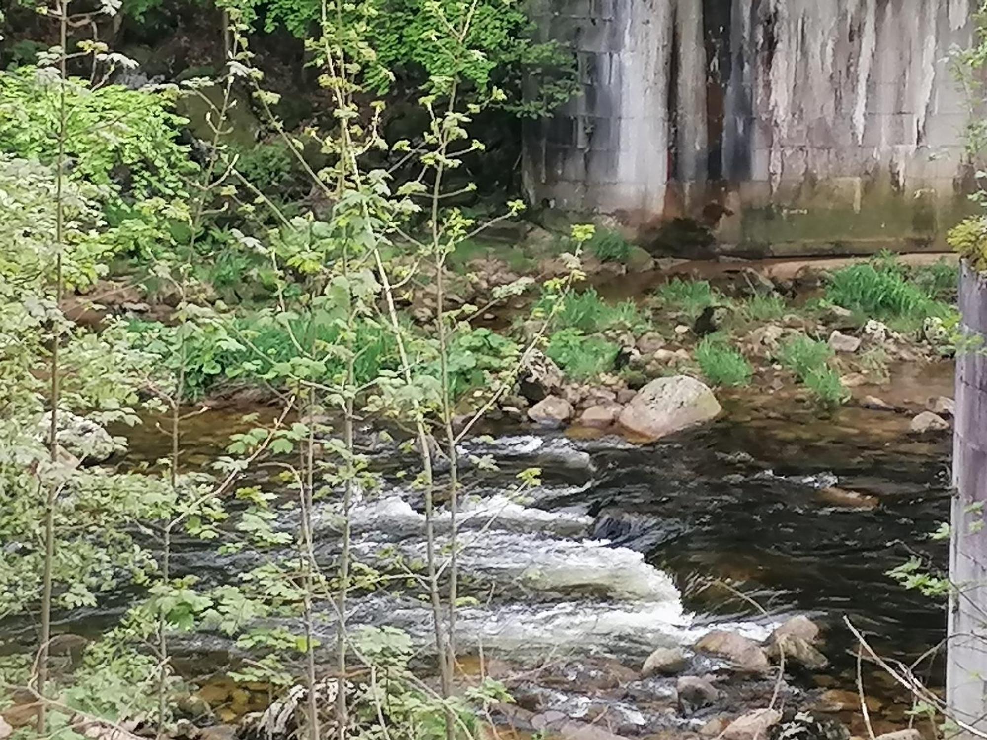 Hotylek Na Myte Otel Harrachov Dış mekan fotoğraf